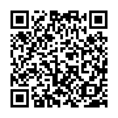 QR code for 2G8 218