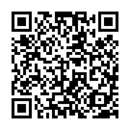 QR code for 2G8 499
