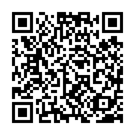 QR code for plate 2G8 619