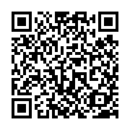 QR code for plate 2G9 689