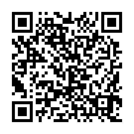QR code for plate 2H9 382