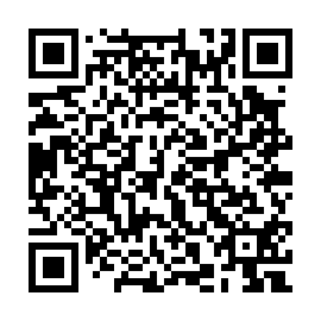 QR code for 2HO P10