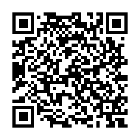 QR code for 2HO Q11