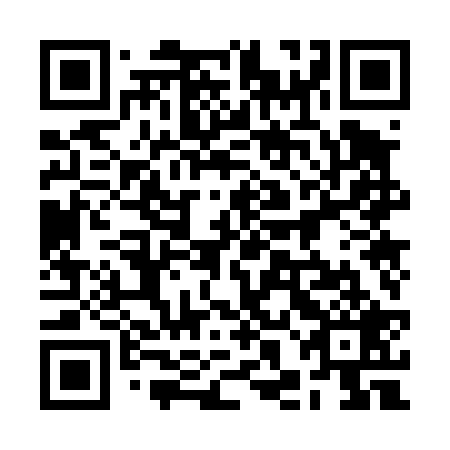 QR code for plate 2HO 429