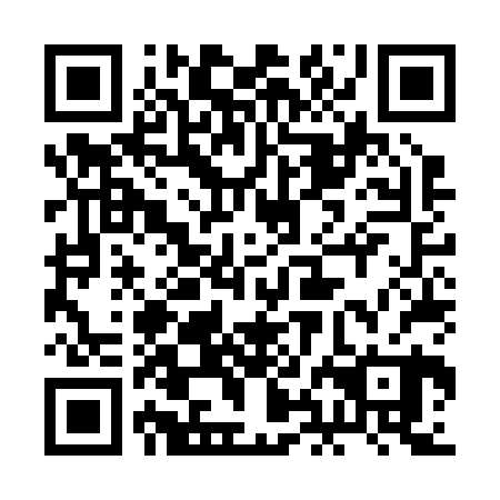 QR code for plate 2HO B20