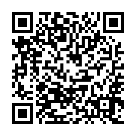 QR code for plate 2HO P97