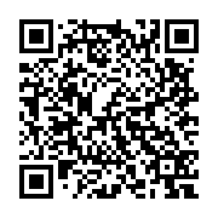 QR code for plate 2HZ E36
