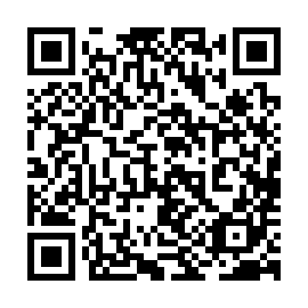 QR code for plate 2I0 380