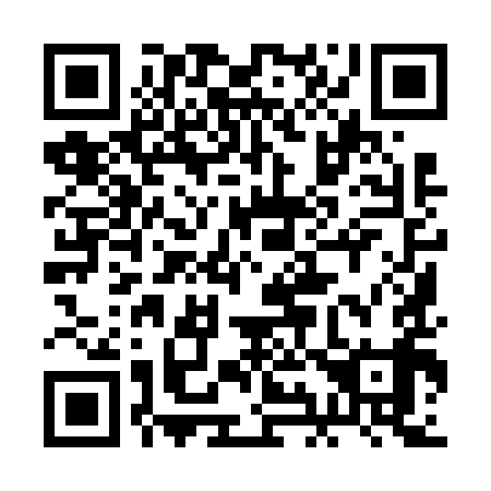 QR code for plate 2I9 699