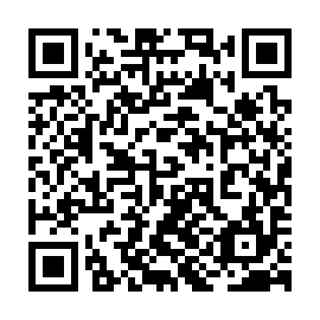 QR code for plate 2IE 394