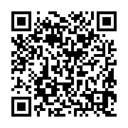 QR code for plate 2IE 583