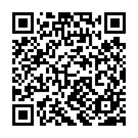 QR code for 2IG V07