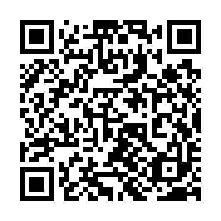 QR code for plate 2IG W93