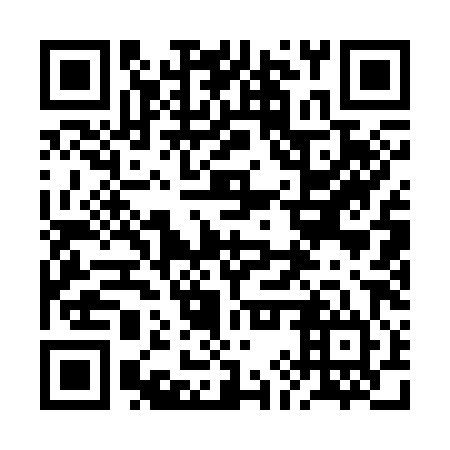 QR code for 2IQ 384