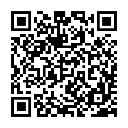 QR code for plate 2J2 896