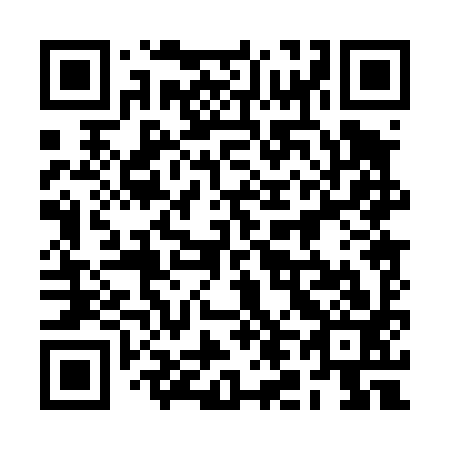 QR code for 2L0 493