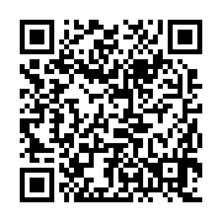 QR code for plate 2L2 294