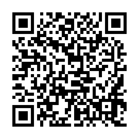 QR code for plate 2L9 956