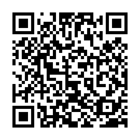 QR code for plate 2LD D38