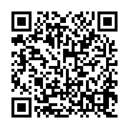 QR code for plate 2LT A98