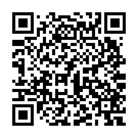 QR code for 2LV V49