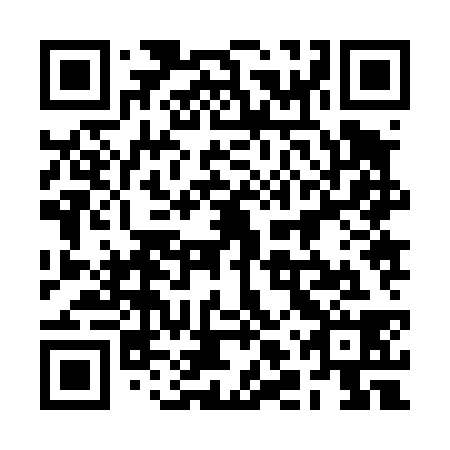 QR code for plate 2LZ 438