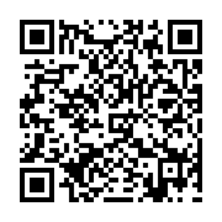 QR code for plate 2M1 379