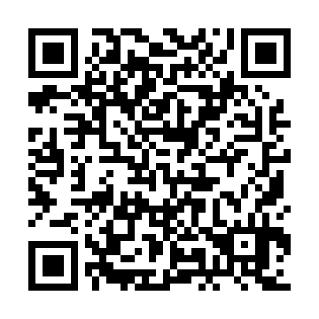 QR code for plate 2M9 034