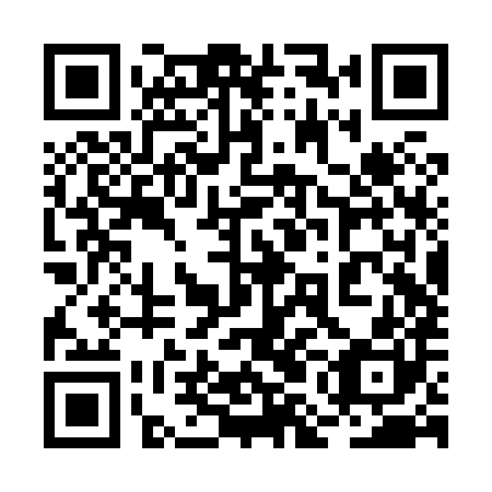 QR code for 2MB X80