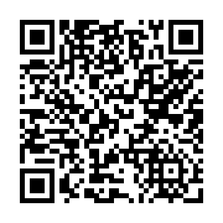 QR code for 2N1 256