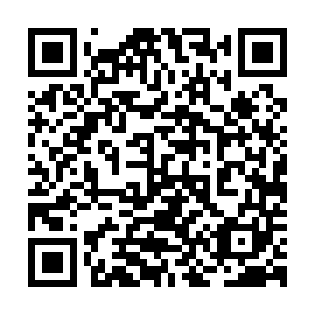 QR code for 2N4 141