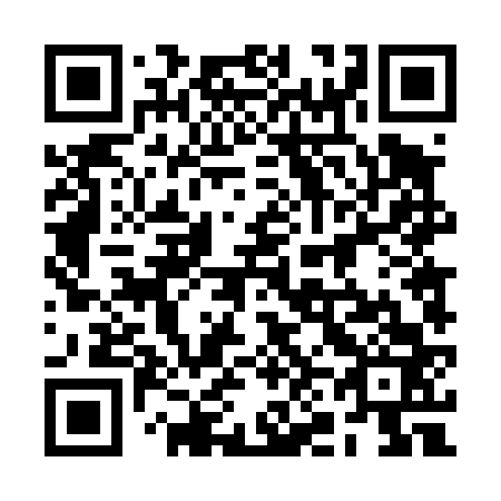 QR code for 2N4 463