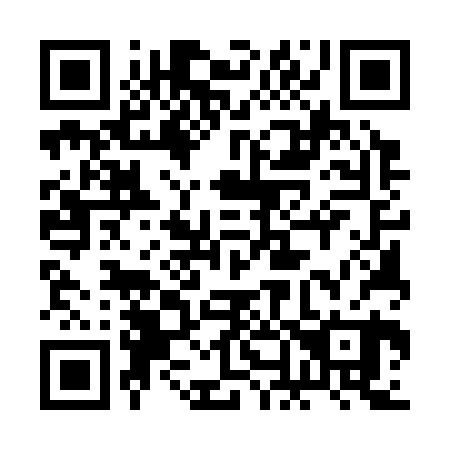 QR code for plate 2N5 320