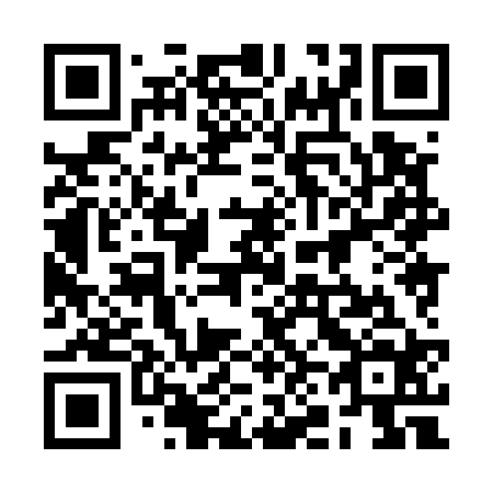 QR code for 2N8 524