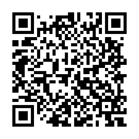 QR code for 2N9596