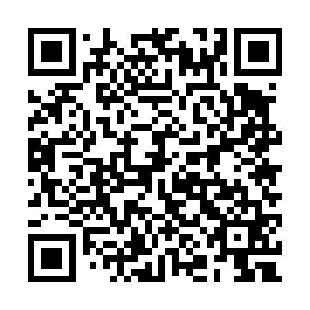QR code for 2NE 461
