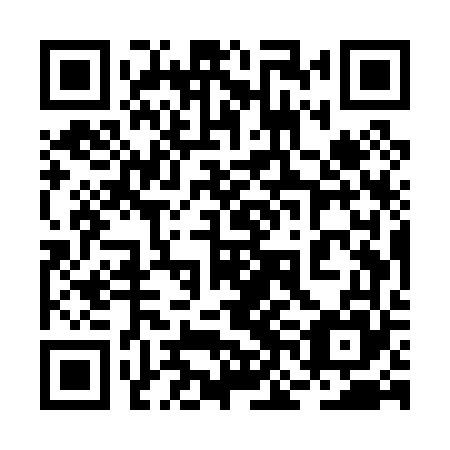 QR code for plate 2NE P65