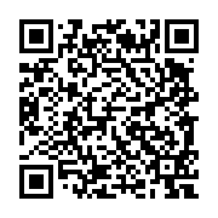 QR code for 2NL 491