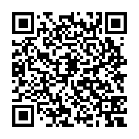 QR code for plate 2NM 338