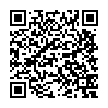 QR code for plate 2O5 539