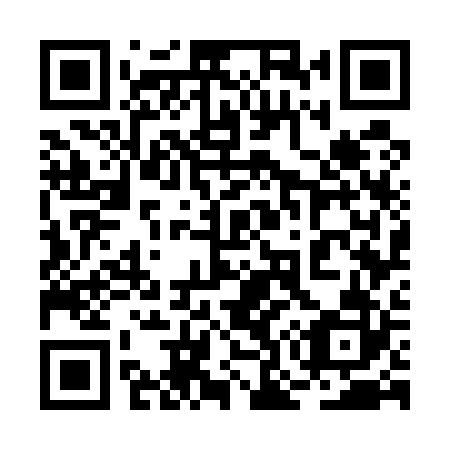 QR code for plate 2O7 522