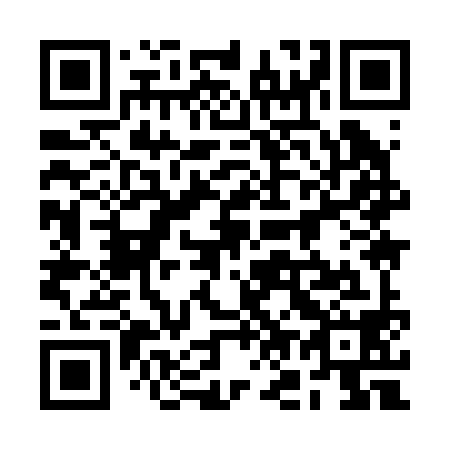 QR code for plate 2O9 298