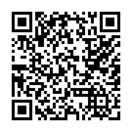 QR code for plate 2OE 875