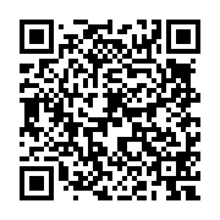 QR code for plate 2OG L98