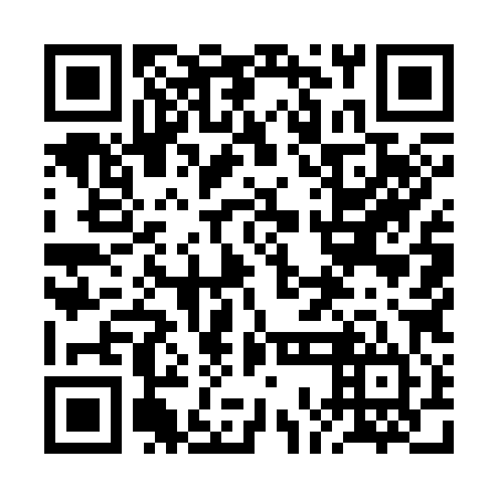 QR code for 2OM384