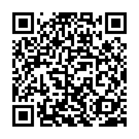 QR code for 2OW Q29