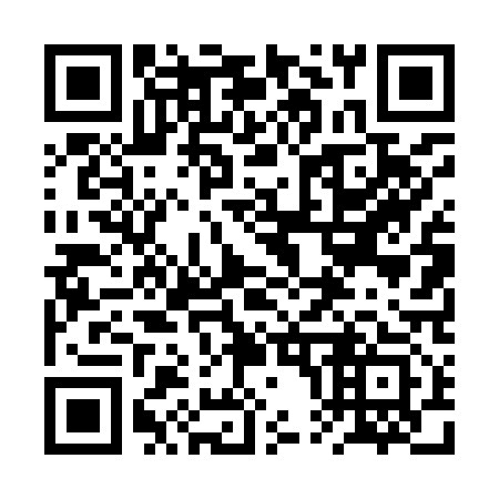 QR code for plate 2P4 913
