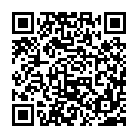 QR code for plate 2P8 216
