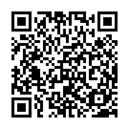 QR code for 2PP P65