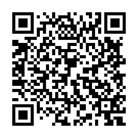 QR code for plate 2PP 811
